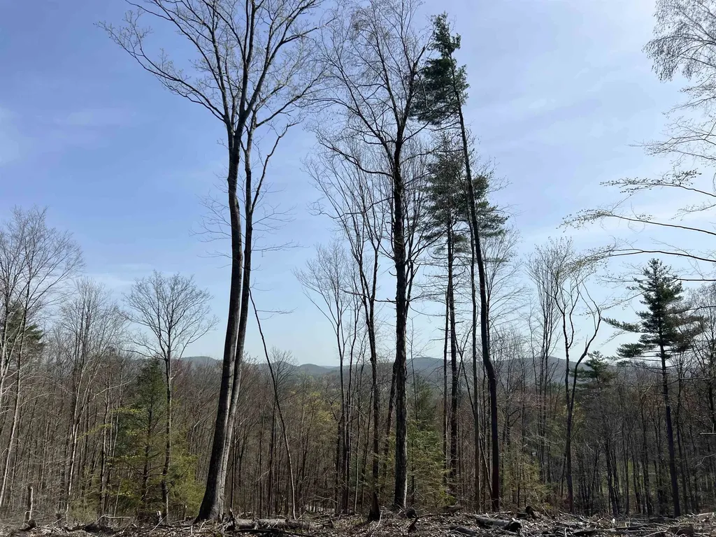 00 Burt Hill Road Winchester NH 03470