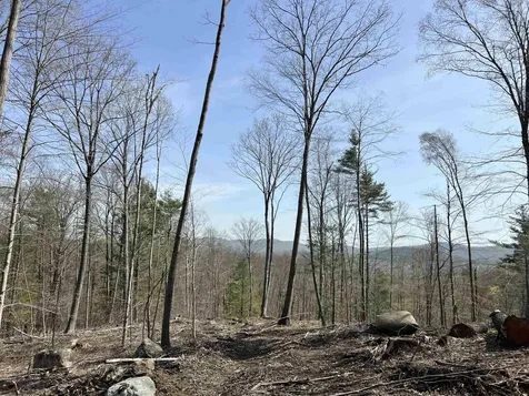 00 Burt Hill Road Winchester NH 03470