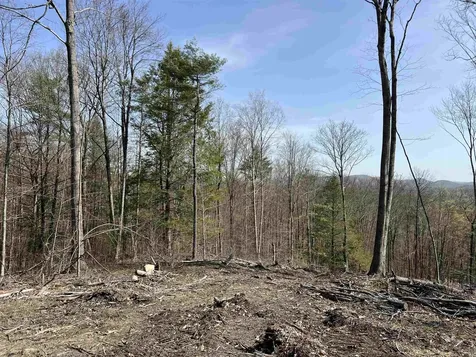 00 Burt Hill Road Winchester NH 03470