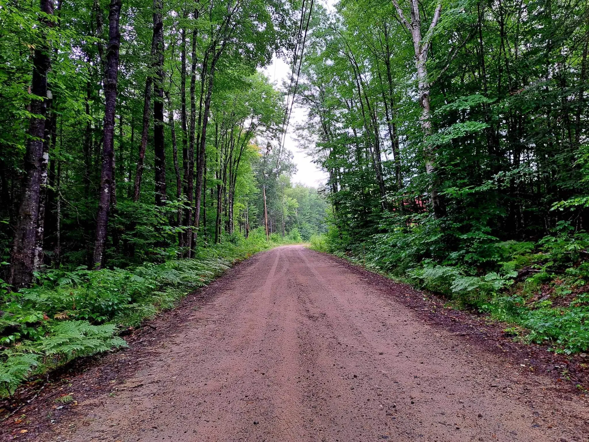 Off Ellsworth Hill Road Campton NH 03223