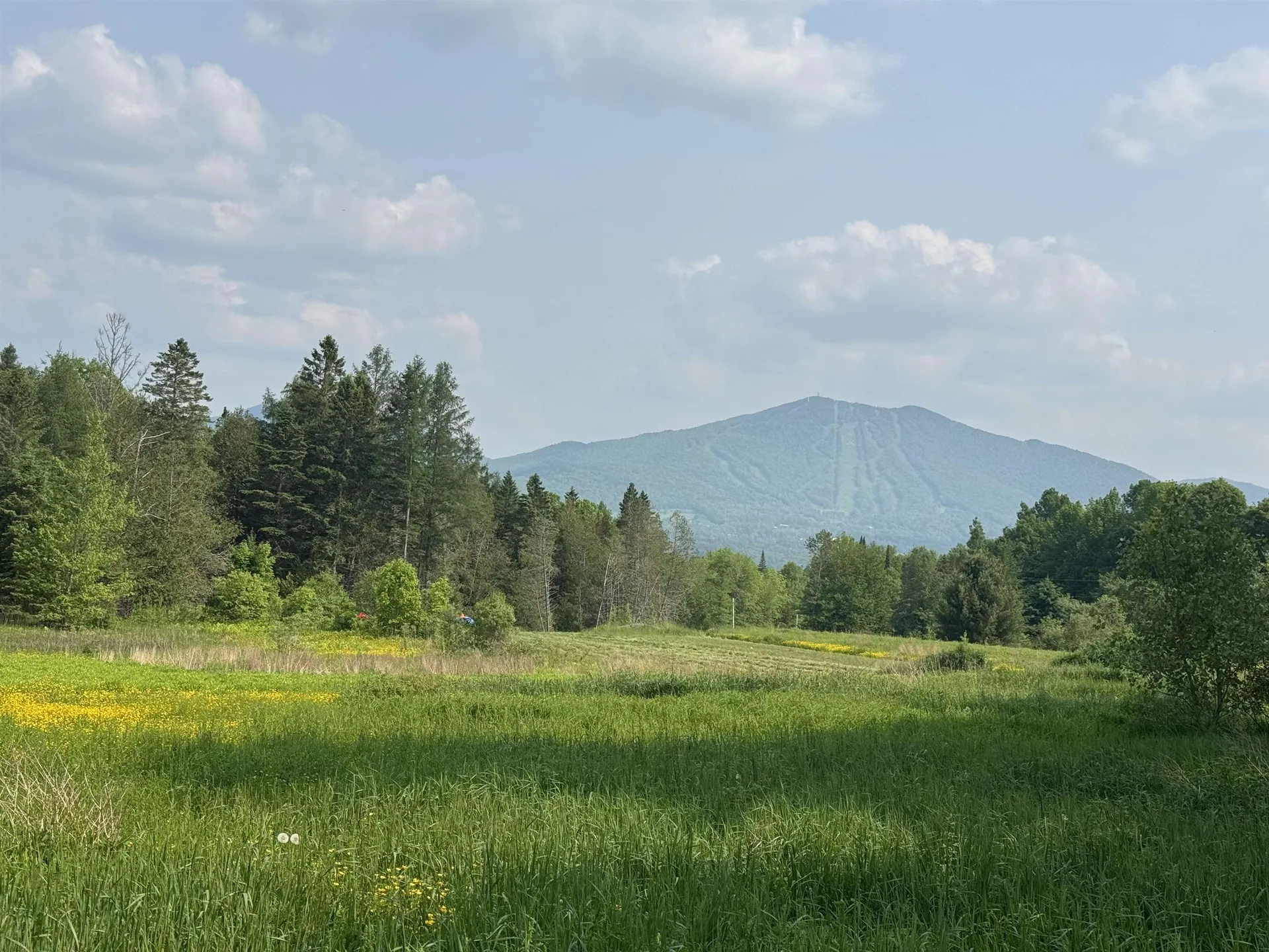 1130 Burke Green Road Burke VT 05832