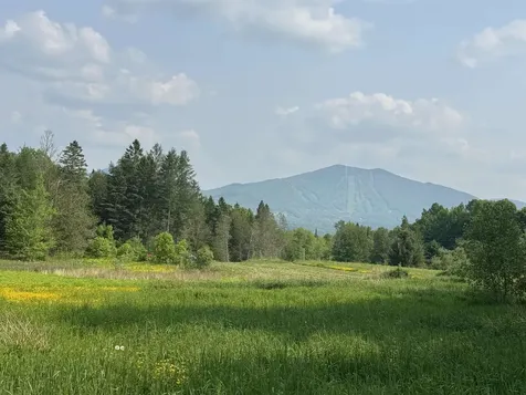 1130 Burke Green Road Burke VT 05832