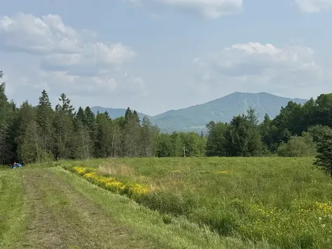 1130 Burke Green Road Burke VT 05832