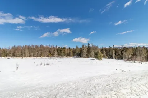 1130 Burke Green Road Burke VT 05832