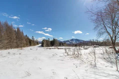 1130 Burke Green Road Burke VT 05832