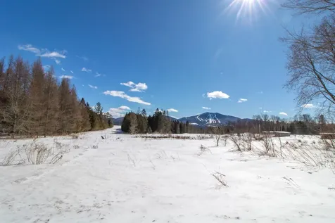 1130 Burke Green Road Burke VT 05832