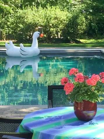 6 Amberwood Drive Exeter NH 03833