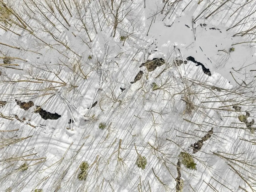 1503 Vermont Route 64 Northfield VT 05663