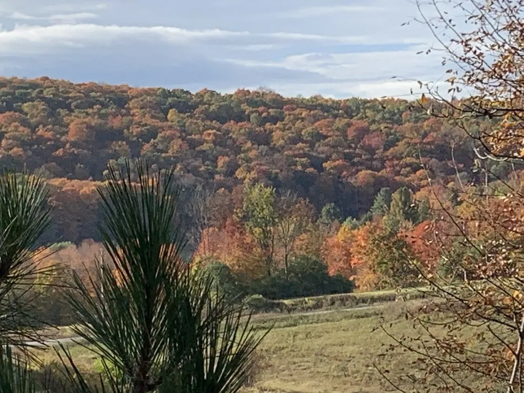 1503 Vermont Route 64 Northfield VT 05663