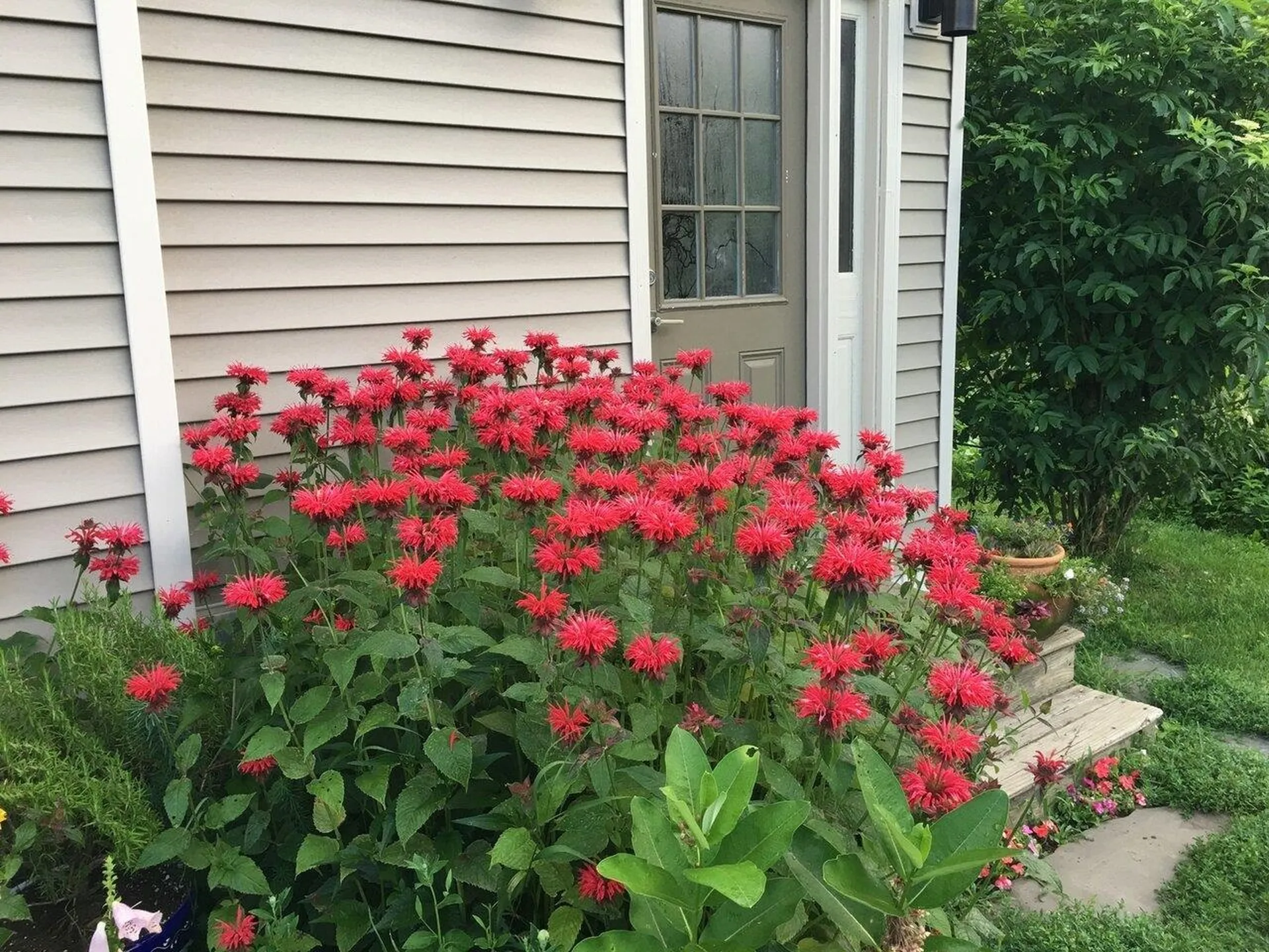 1503 Vermont Route 64 Northfield VT 05663