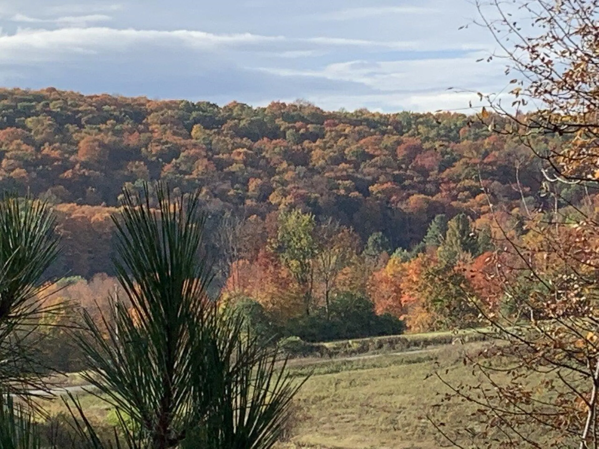 1503 Vermont Route 64 Northfield VT 05663