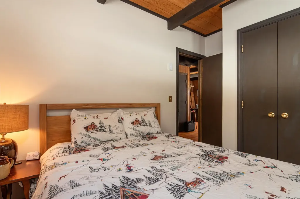 316 Little Pond Road Andover VT 05143