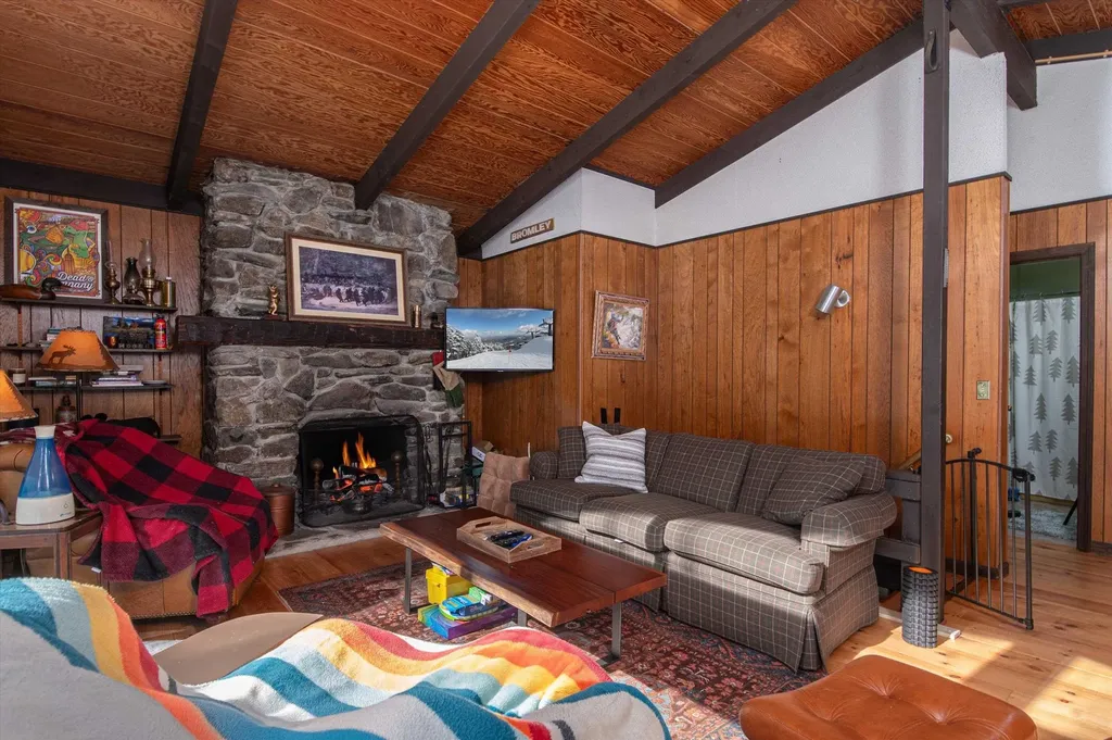 316 Little Pond Road Andover VT 05143