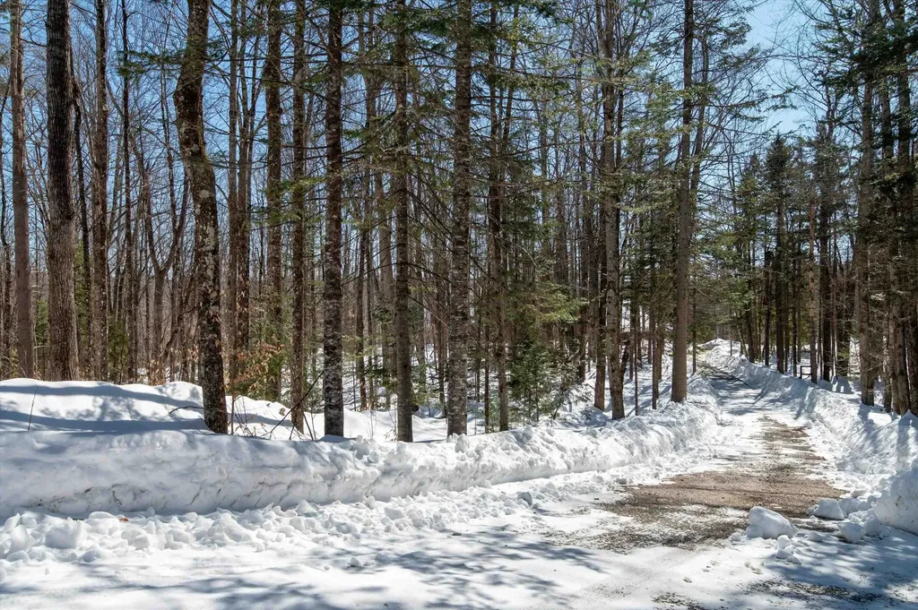 316 Little Pond Road Andover VT 05143