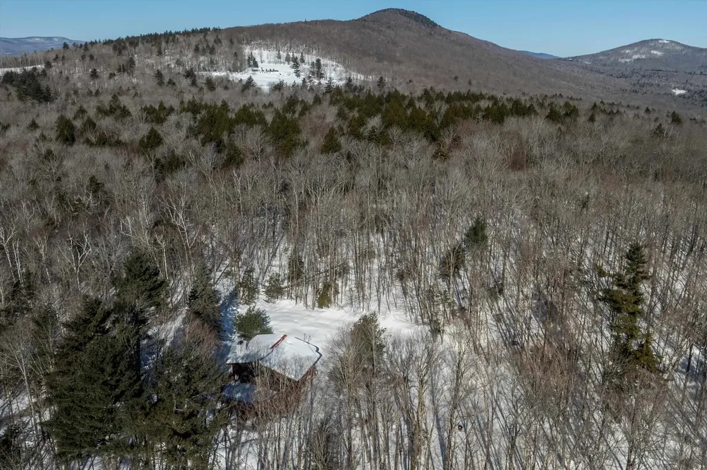 316 Little Pond Road Andover VT 05143