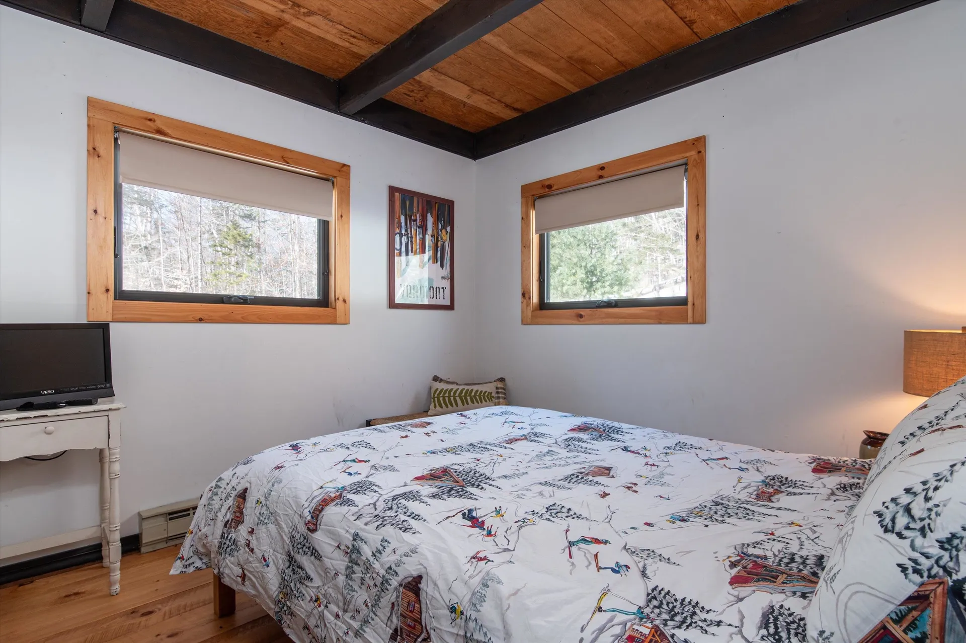 316 Little Pond Road Andover VT 05143