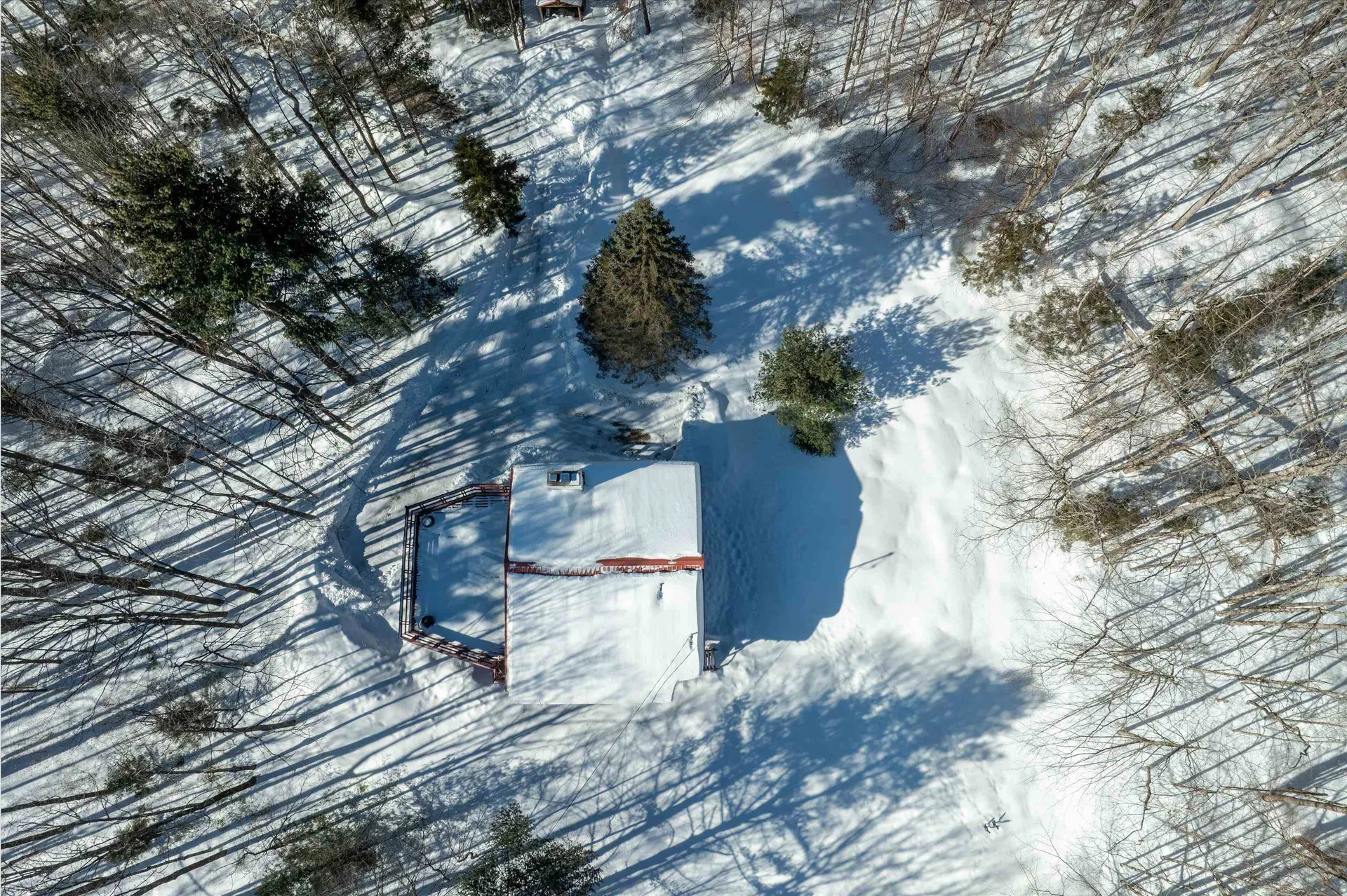 316 Little Pond Road Andover VT 05143