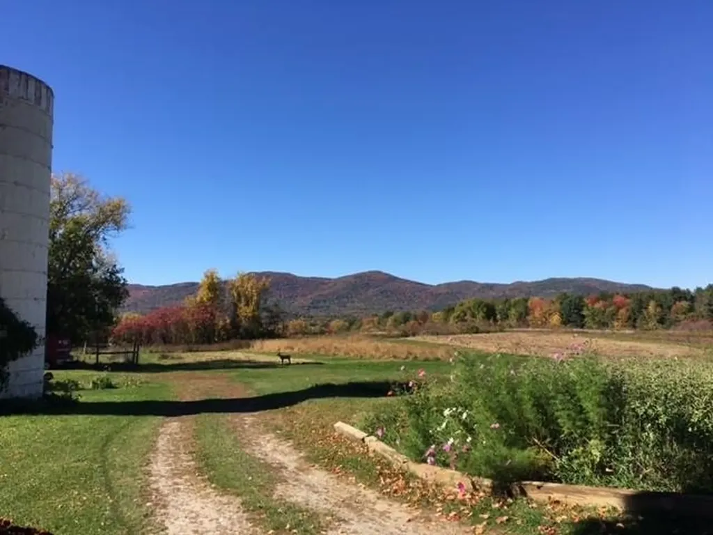 4875 Us Route 7 Pittsford VT 05763