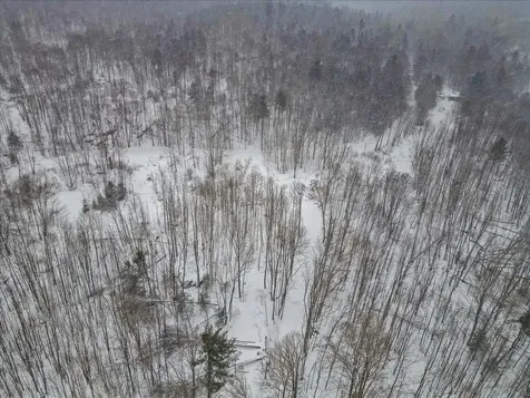 Lot 2 Mason Hill North Starksboro VT 05487