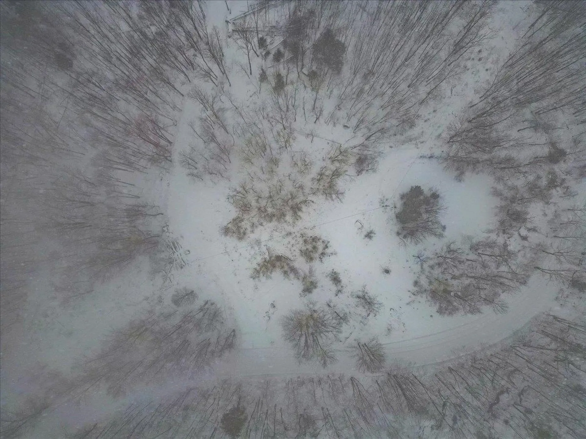 Lot 1 Mason Hill North Starksboro VT 05487