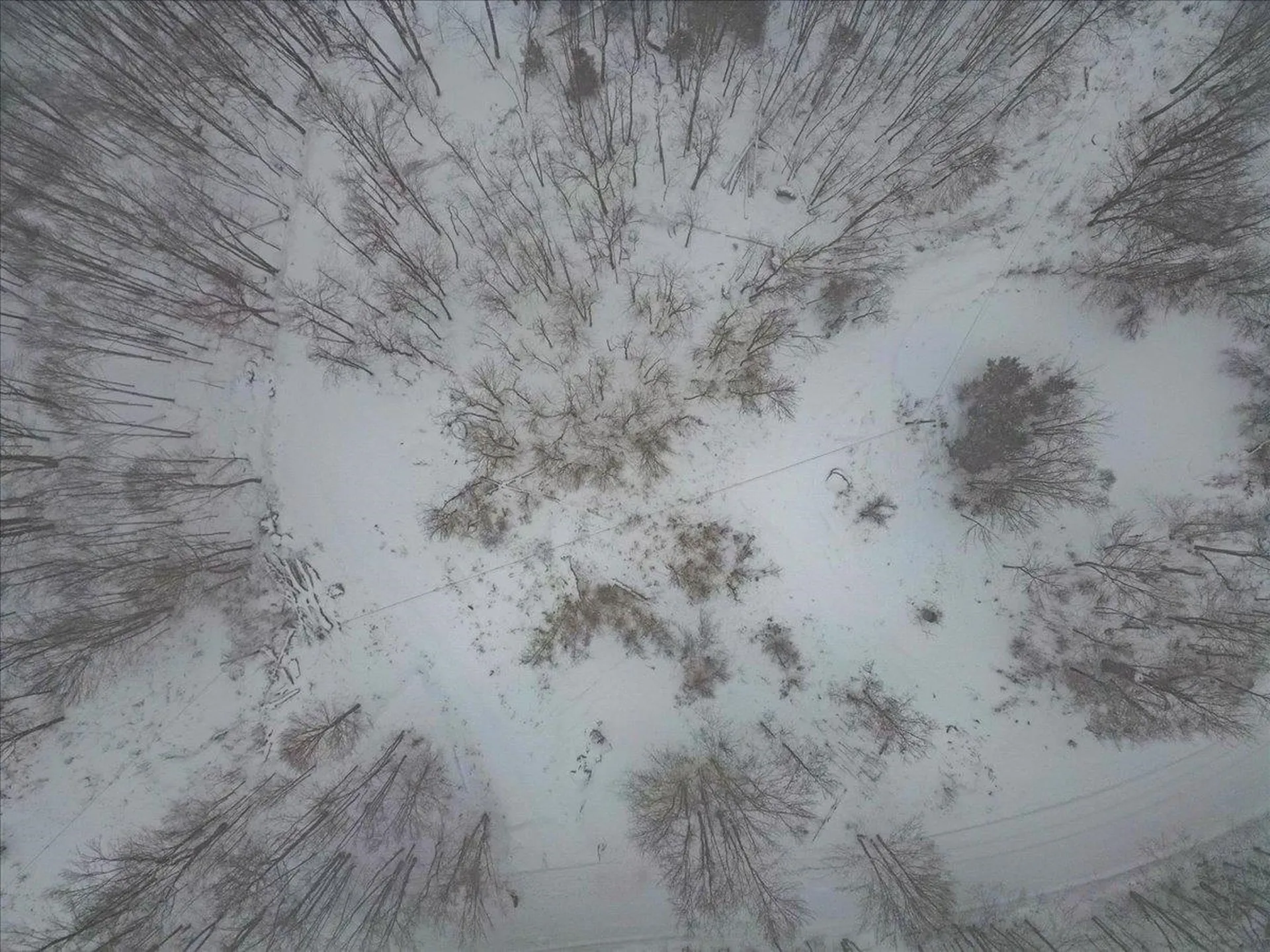 Lot 1 Mason Hill North Starksboro VT 05487