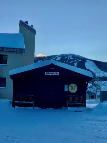 3c Snow Mountain Village Dover VT 05356