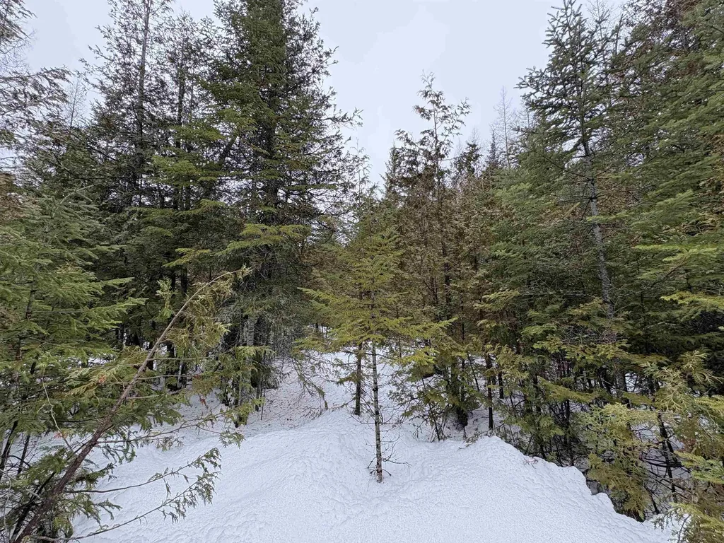 1974 The Bend Road Greensboro VT 05841