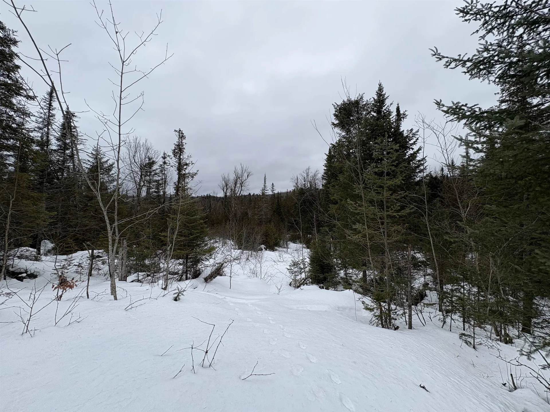 1974 The Bend Road Greensboro VT 05841