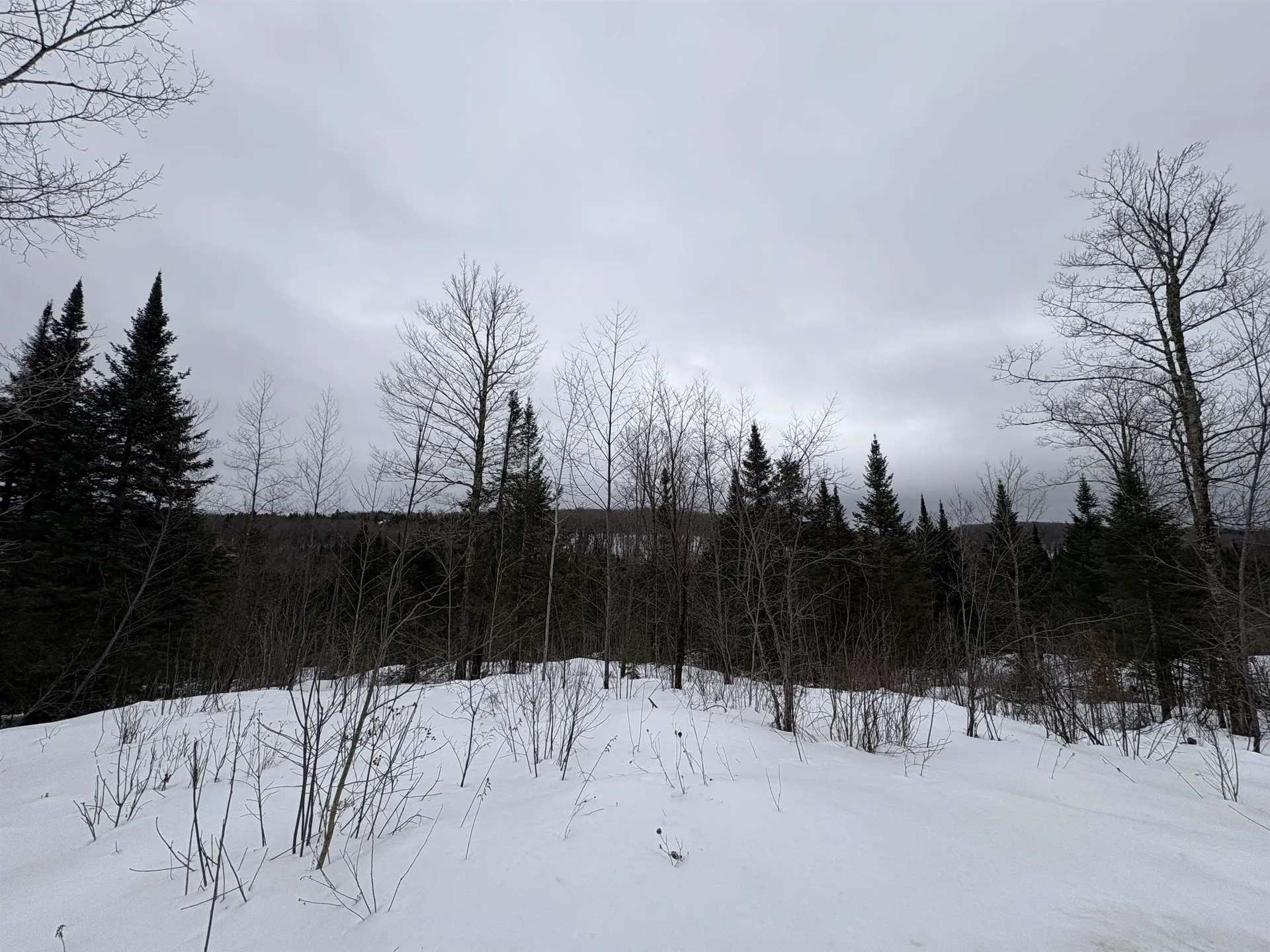 1974 The Bend Road Greensboro VT 05841