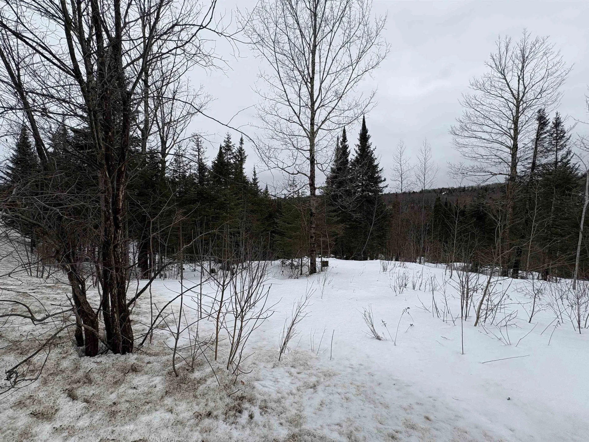 1974 The Bend Road Greensboro VT 05841