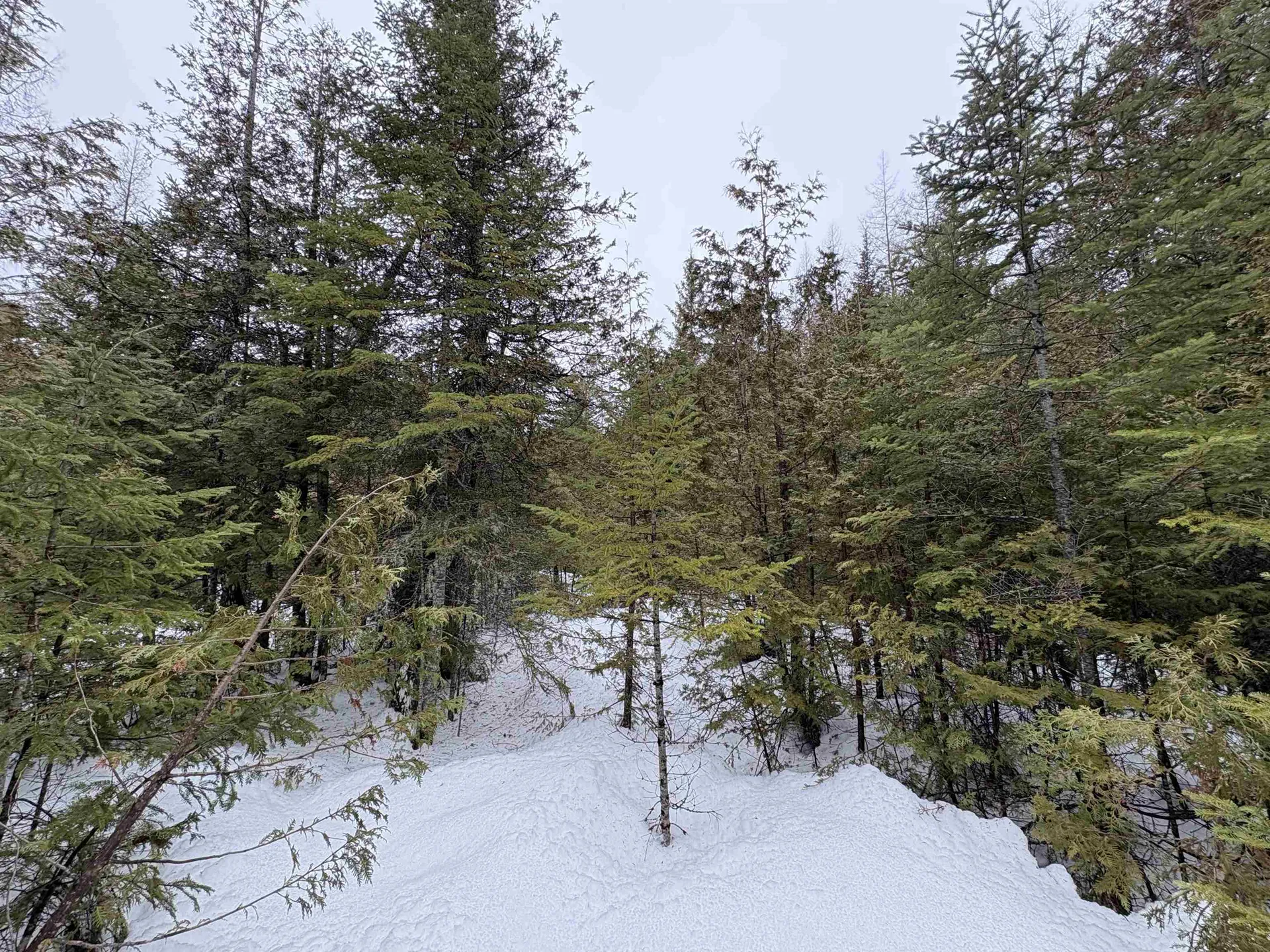 1974 The Bend Road Greensboro VT 05841