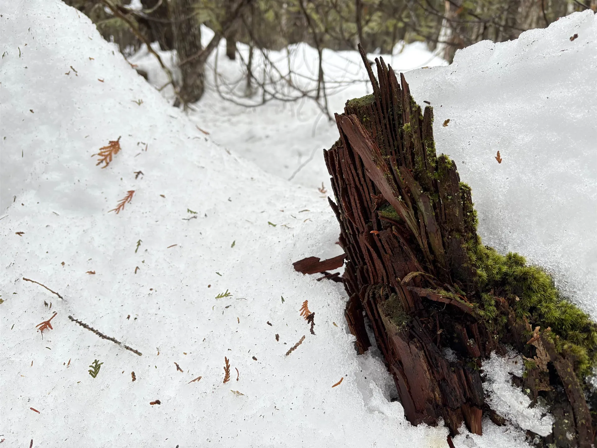 1974 The Bend Road Greensboro VT 05841