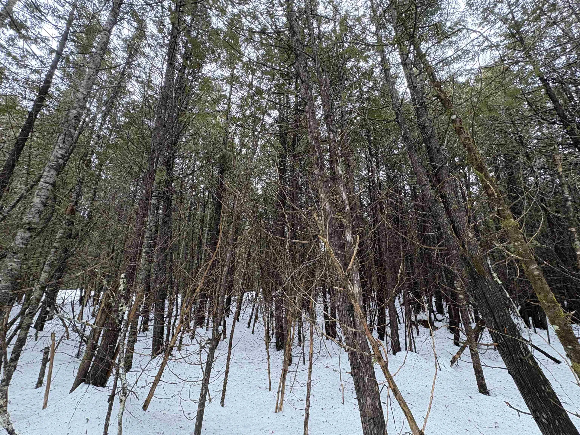 1974 The Bend Road Greensboro VT 05841