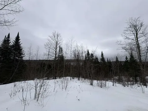 1974 The Bend Road Greensboro VT 05841