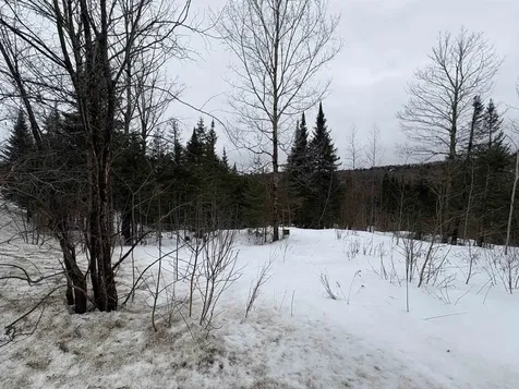 1974 The Bend Road Greensboro VT 05841