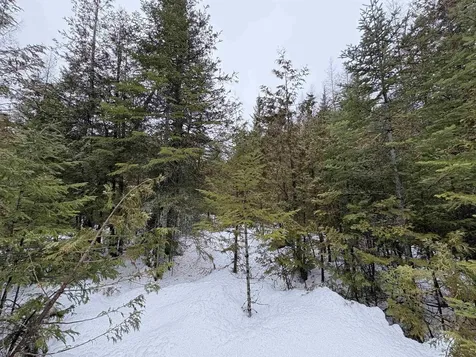 1974 The Bend Road Greensboro VT 05841