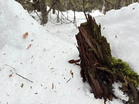 1974 The Bend Road Greensboro VT 05841