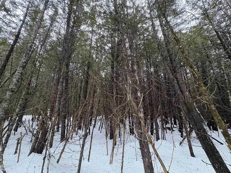 1974 The Bend Road Greensboro VT 05841