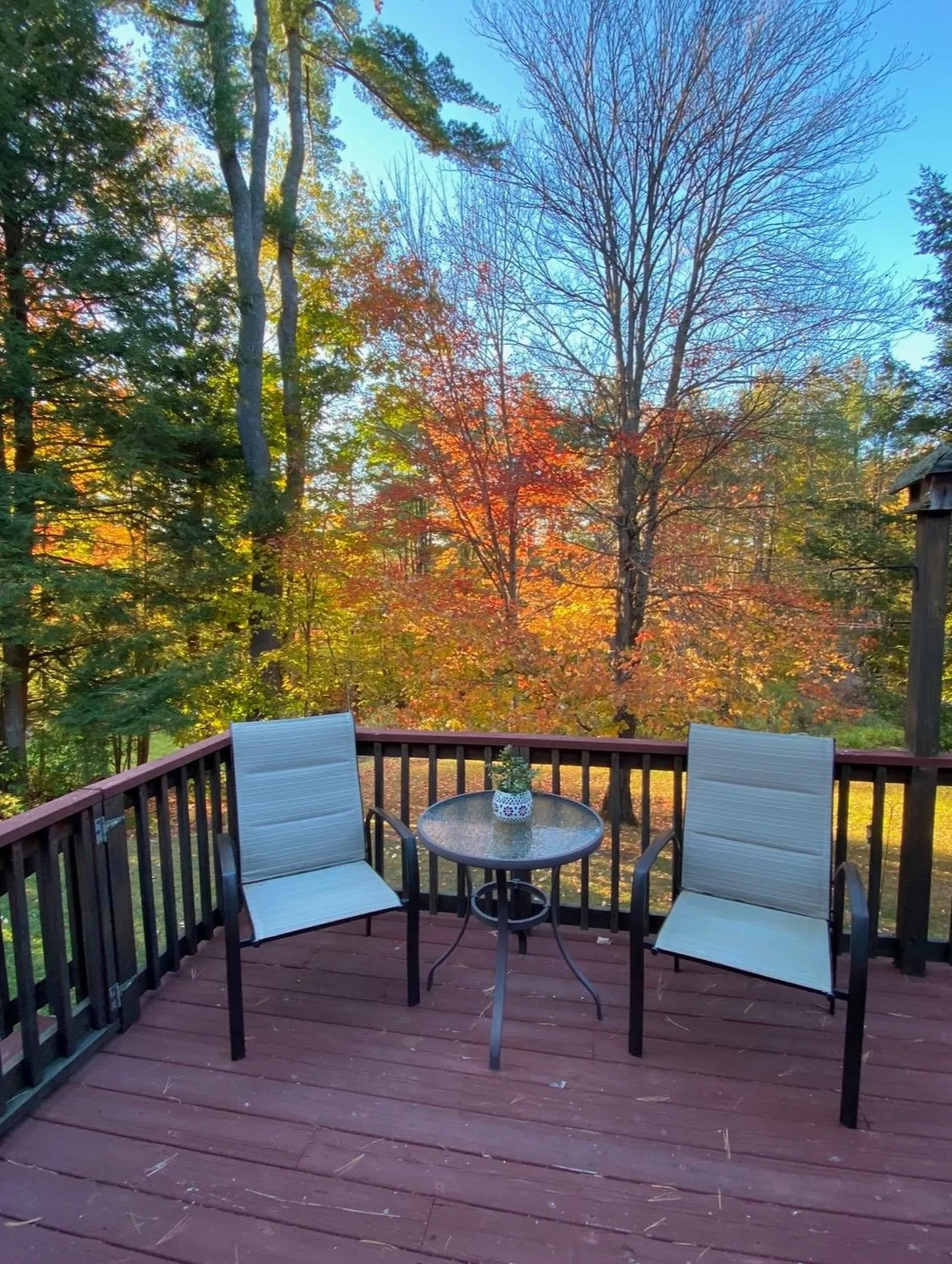 68 Buckingham Place Lebanon NH 03766