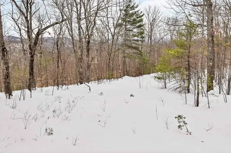 18 Rigi Drive Madison NH 03849