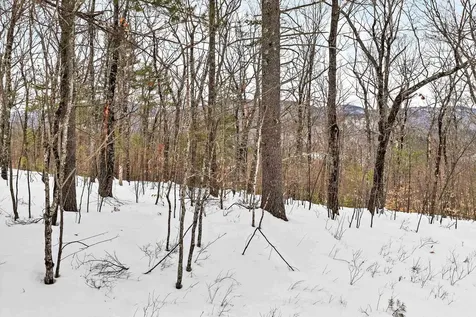 18 Rigi Drive Madison NH 03849