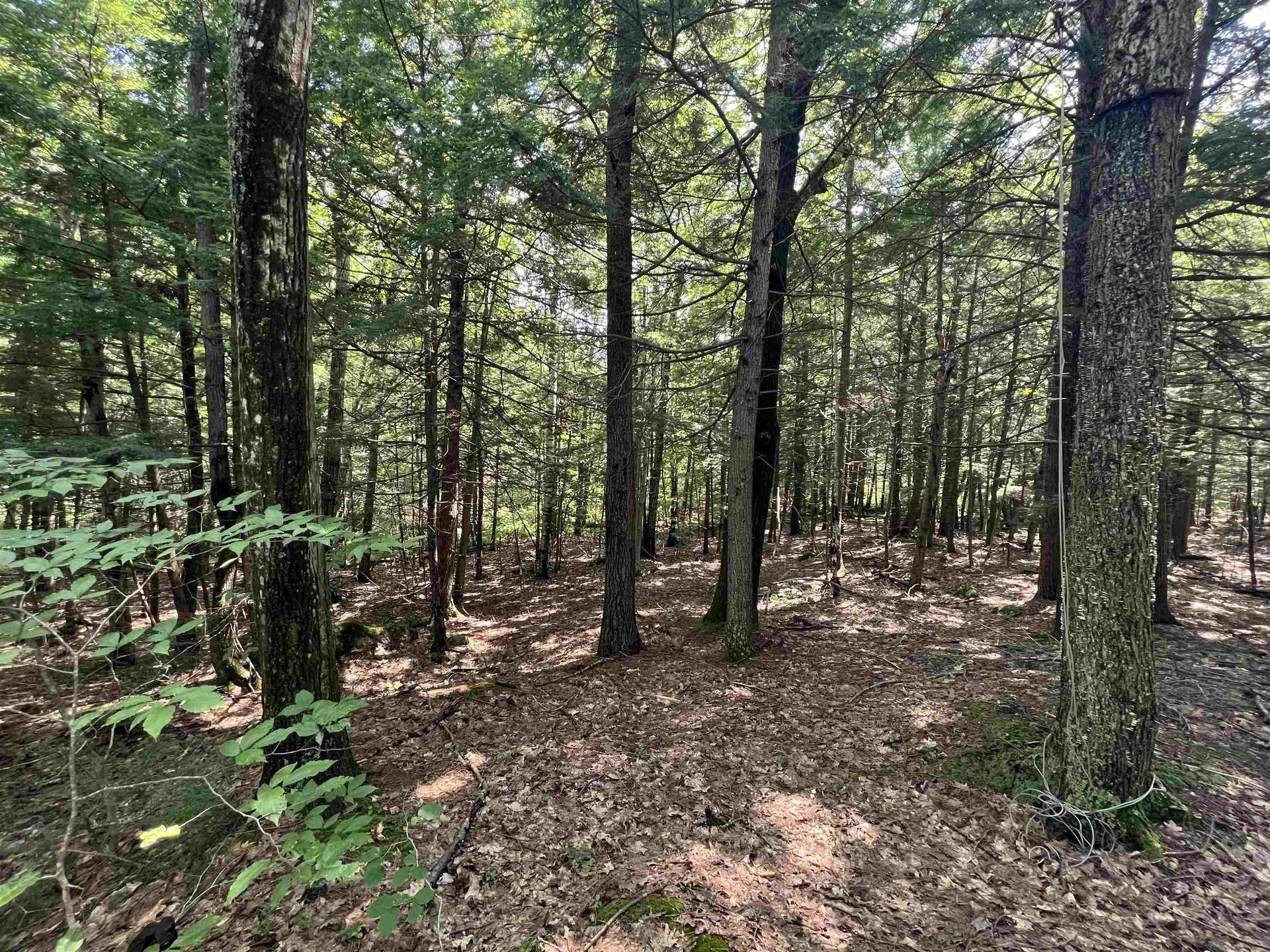 Lot 4 Poulos Road Hebron NH 03241
