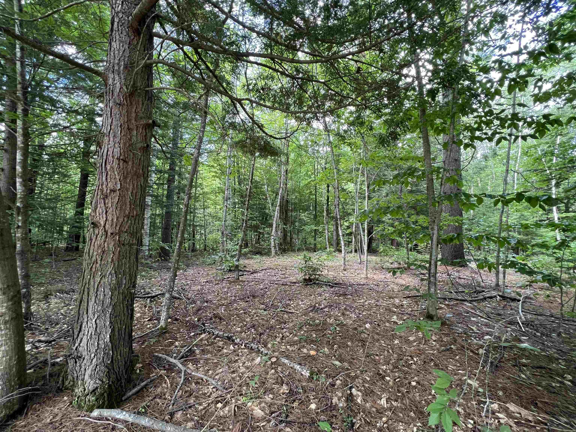 Lot 4 Poulos Road Hebron NH 03241