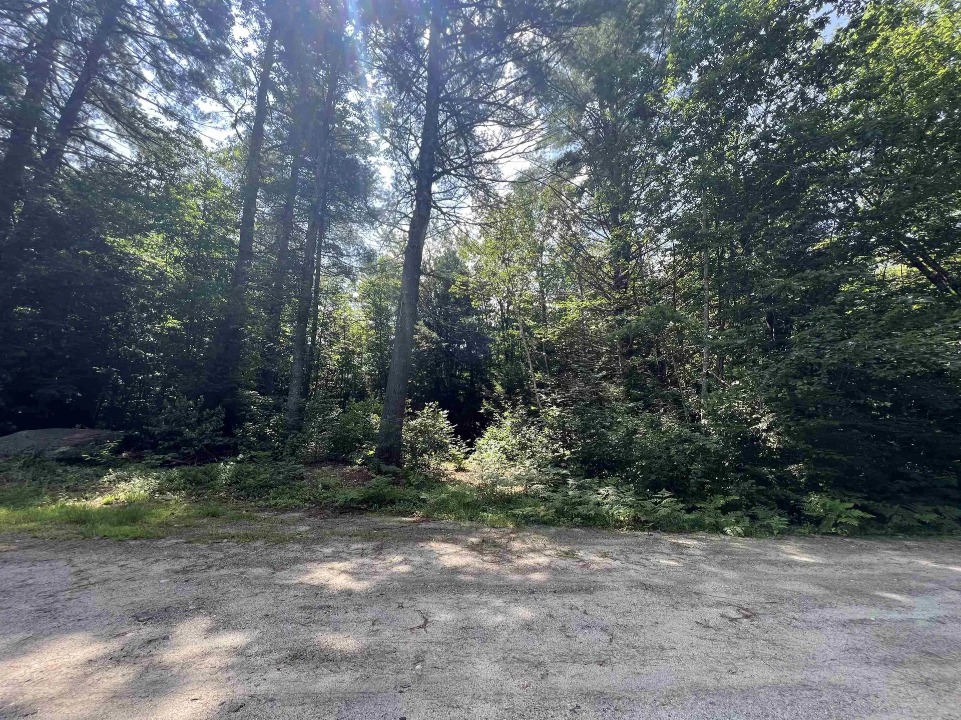 Lot 4 Poulos Road Hebron NH 03241