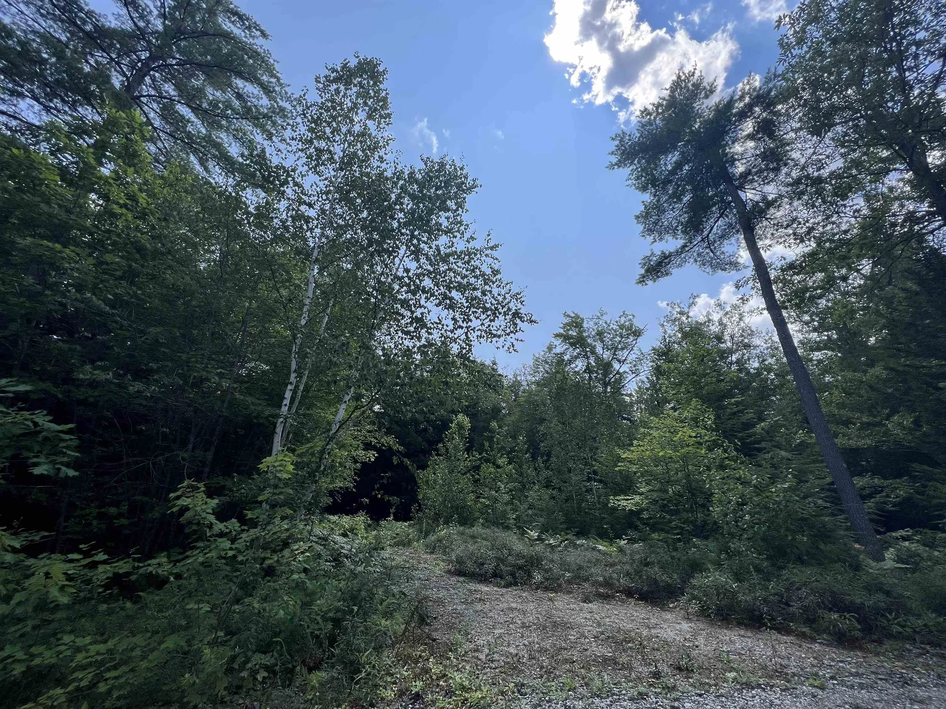 Lot 4 Poulos Road Hebron NH 03241