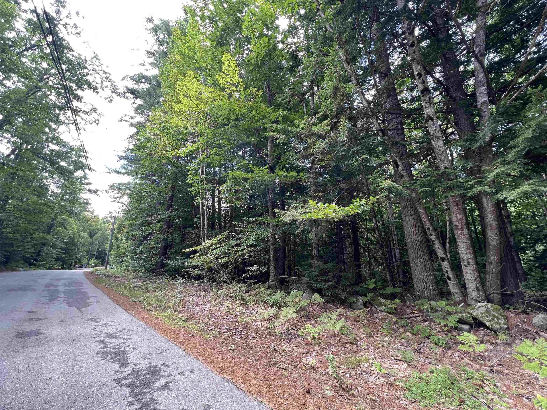 Lot 4 Poulos Road Hebron NH 03241