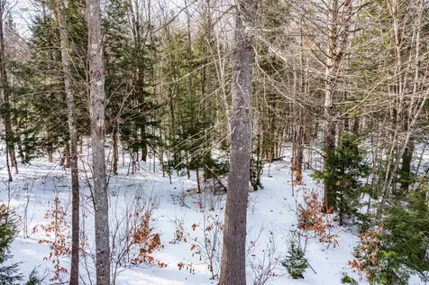 Lot 4 Poulos Road Hebron NH 03241