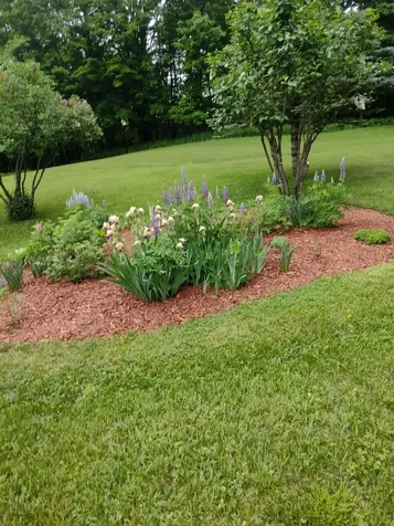 173 Pleasant Street Williamstown VT 05679