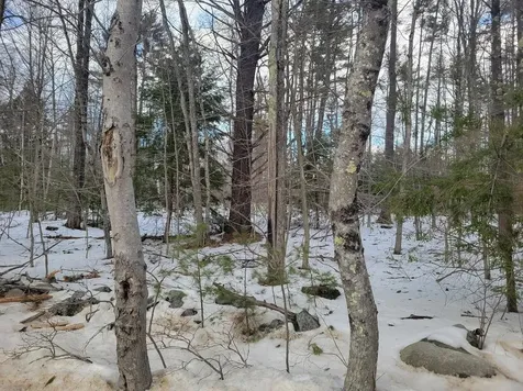 Lot 26-2 Brackett Road New Durham NH 03855