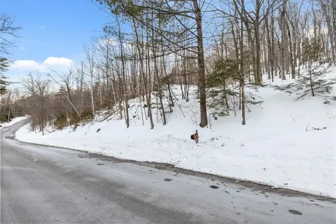 29 Chalet Drive Gilford NH 03109